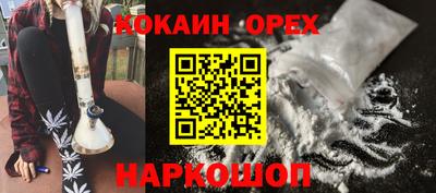 гашик Новозыбков