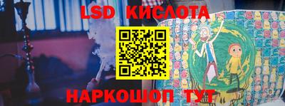 гашик Новозыбков