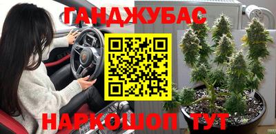 гашик Новозыбков