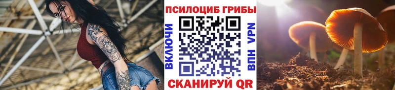 blacksprut ТОР  Ханты-Мансийск  Галлюциногенные грибы мицелий 